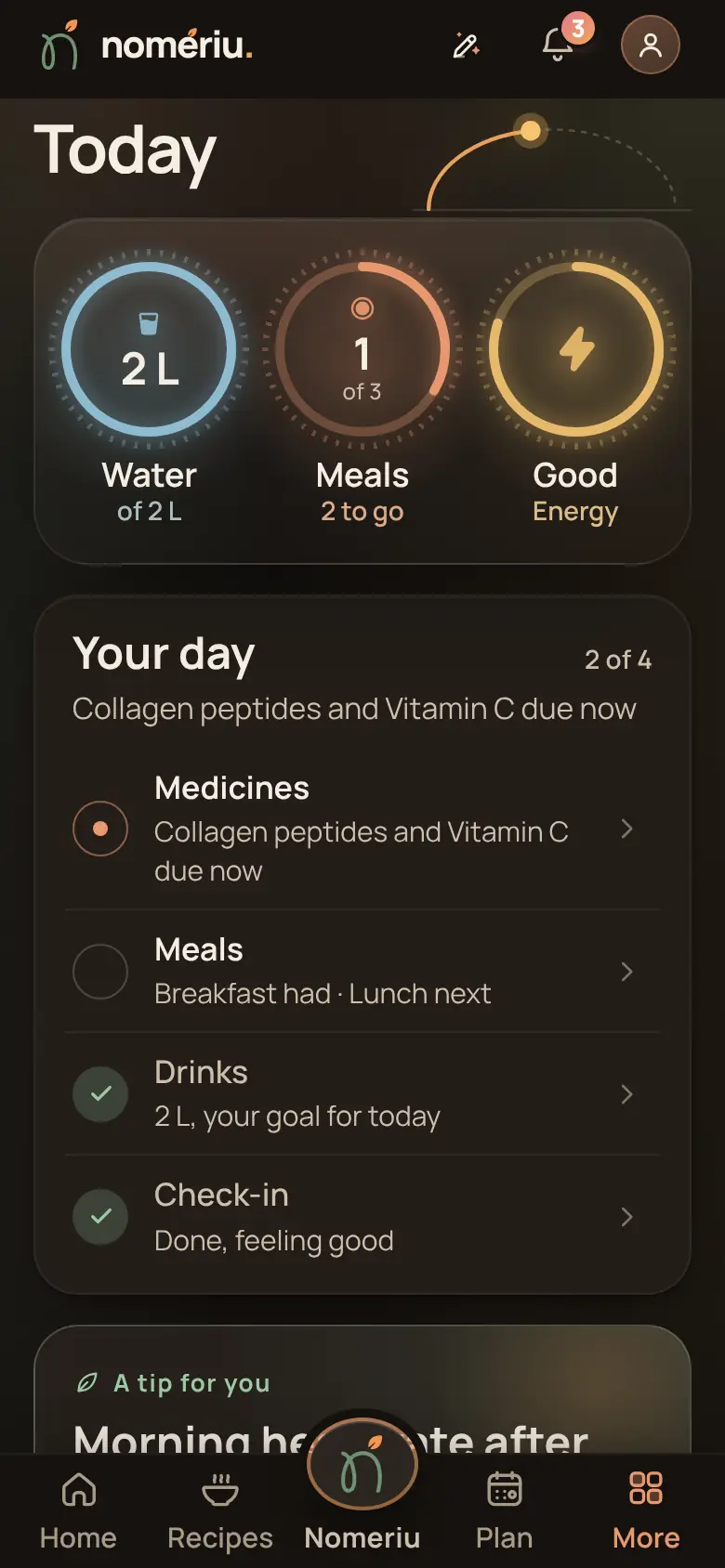 The Nomeriu Today screen with rings for water, meals and check-in