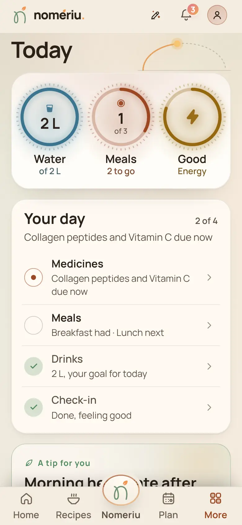 The Nomeriu Today screen with rings for water, meals and check-in